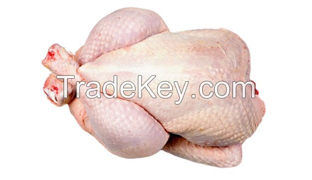 HALAL FROZEN WHOLE CHICKEN