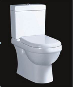 Washdown close coupled toilet