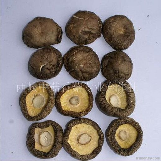 Chinese Dried Mushroom