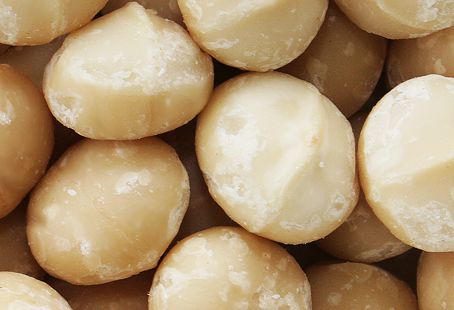 Macadamia nuts