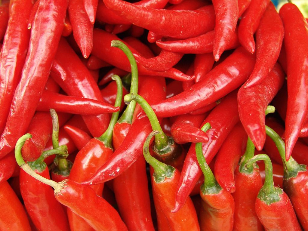 Fresh Red Chili