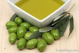 Olive Oil