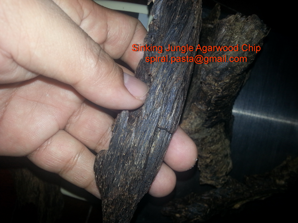 Sinking Jungle Agarwood Chip.