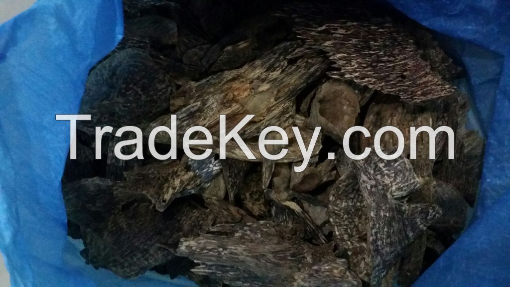 Agarwood Oud Oudh Chips