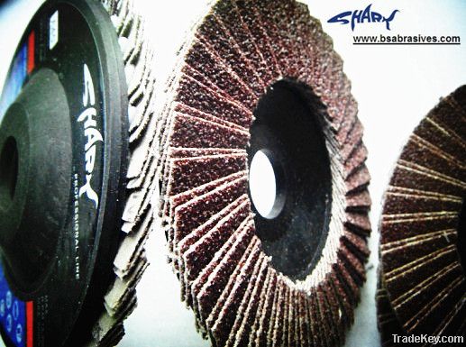 Abrasives Flap Discs