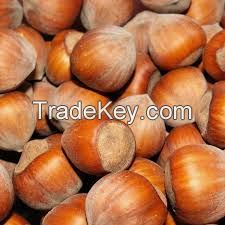 Hazelnuts