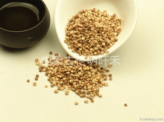 Sorghum