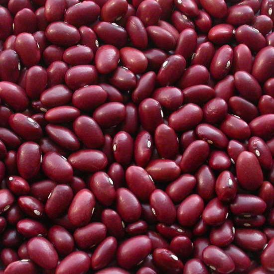 Dark Red Kidney Beans,kidney beans importers,kidney beans buyers,kidney beans importer,buy kidney beans,kidney beans buyer,import kidney beans