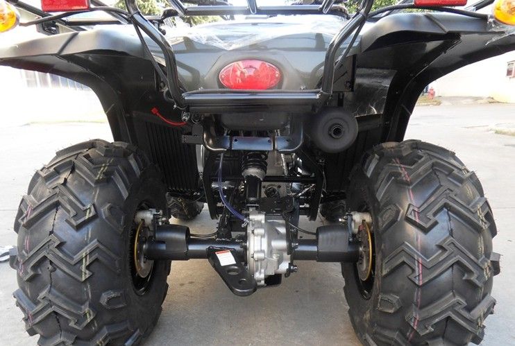 ATV/ Quad Bike/ Farm ATV with Free Shipping