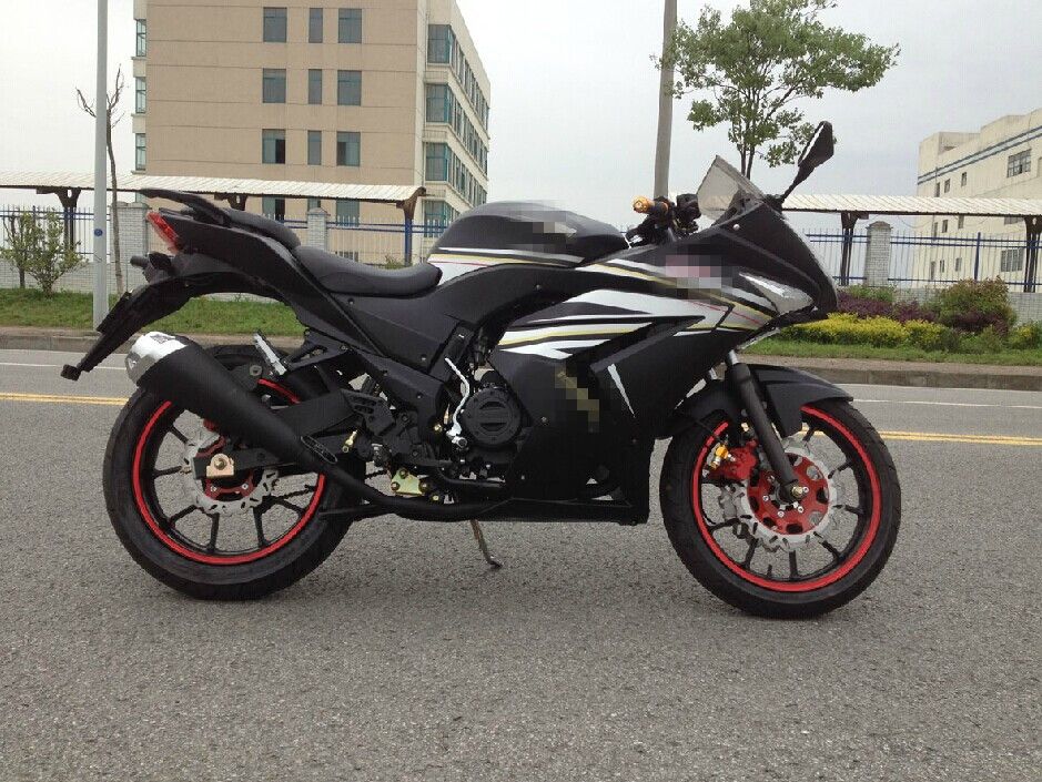 Good Price EEC Racing Motorcycle Sport Motorcycle Street Motorcycle