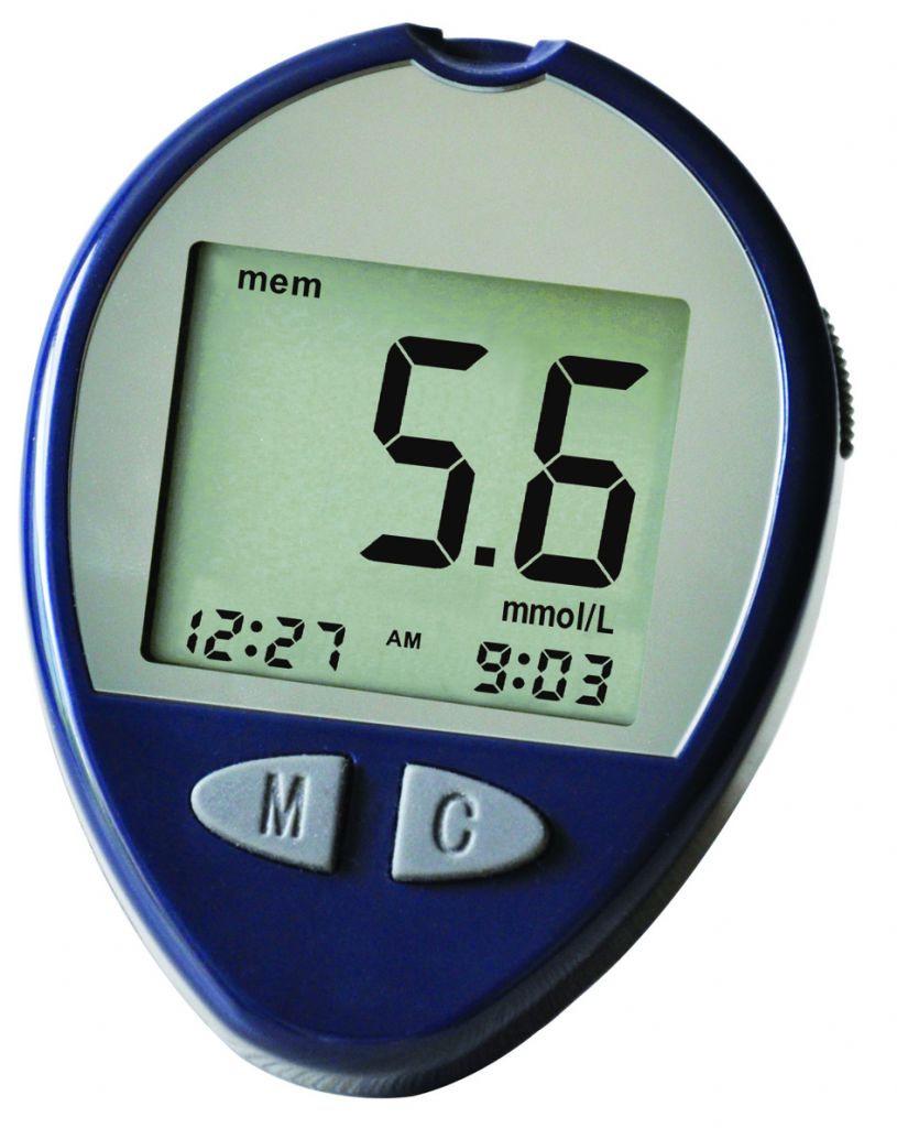 Blood Glucose Monitor System