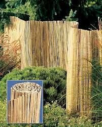 large bamboo fences