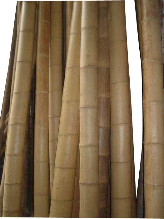 Hight quality and low price bamboo poles