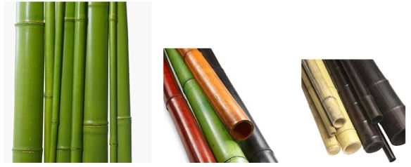 Bamboo poles color