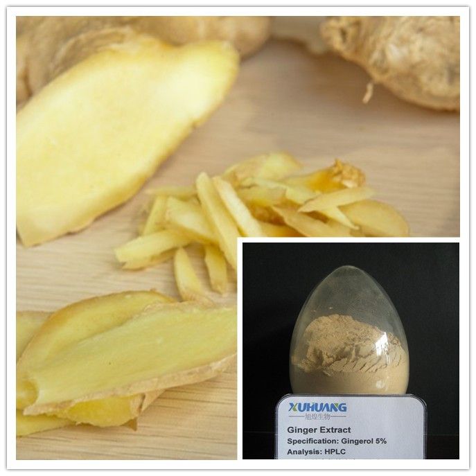 Ginger Extract 