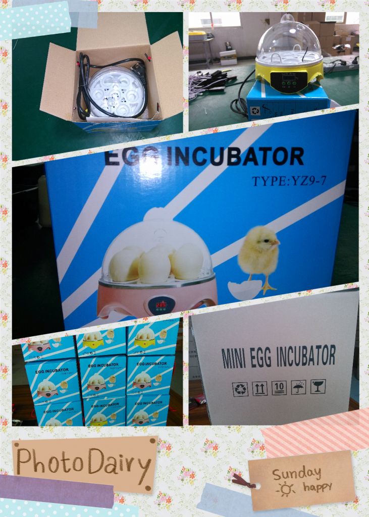 Best Christmas gift for children 7 chicken/quail eggs incubator fully automatic with reasonable price