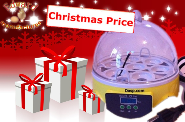 Best Christmas gift for children 7 chicken/quail eggs incubator fully automatic with reasonable price