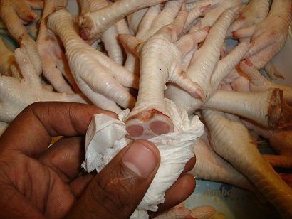 Chicken Feet