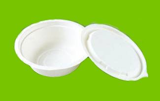 Disposable Bagasse Tableware