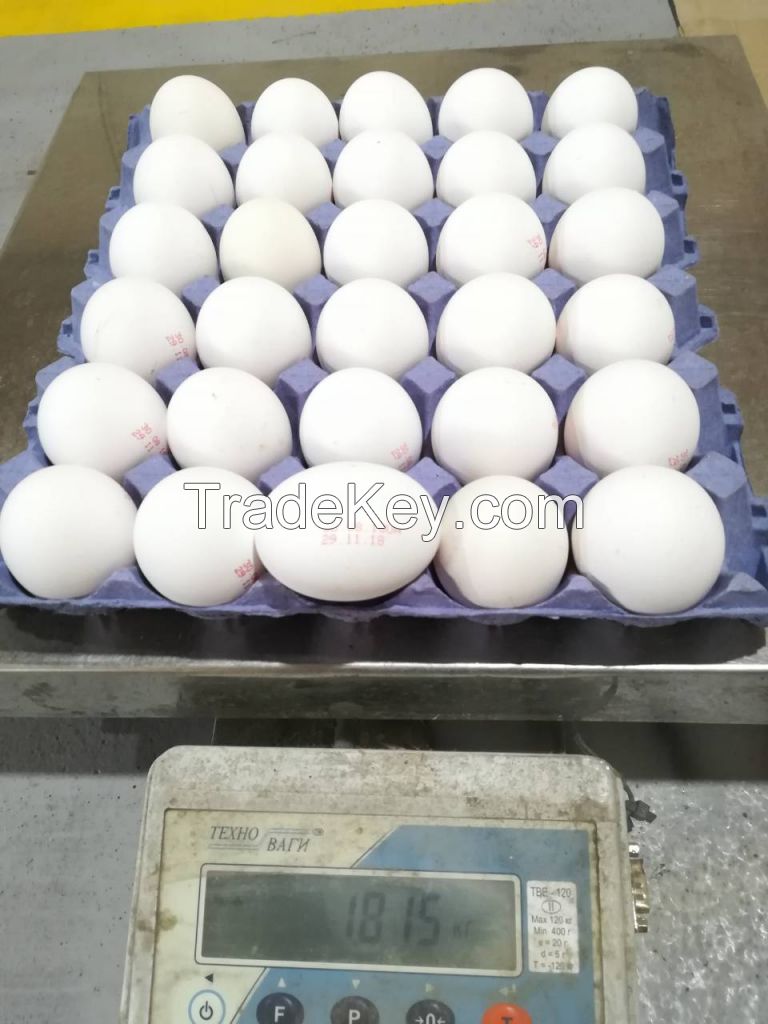 Fresh Chicken Table Eggs