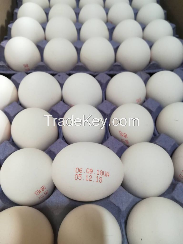 Fresh Chicken Table Eggs