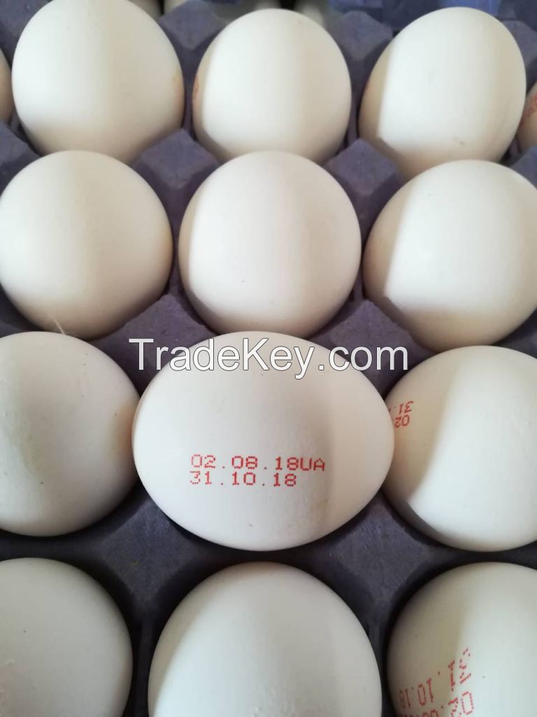 Fresh Chicken Table Eggs