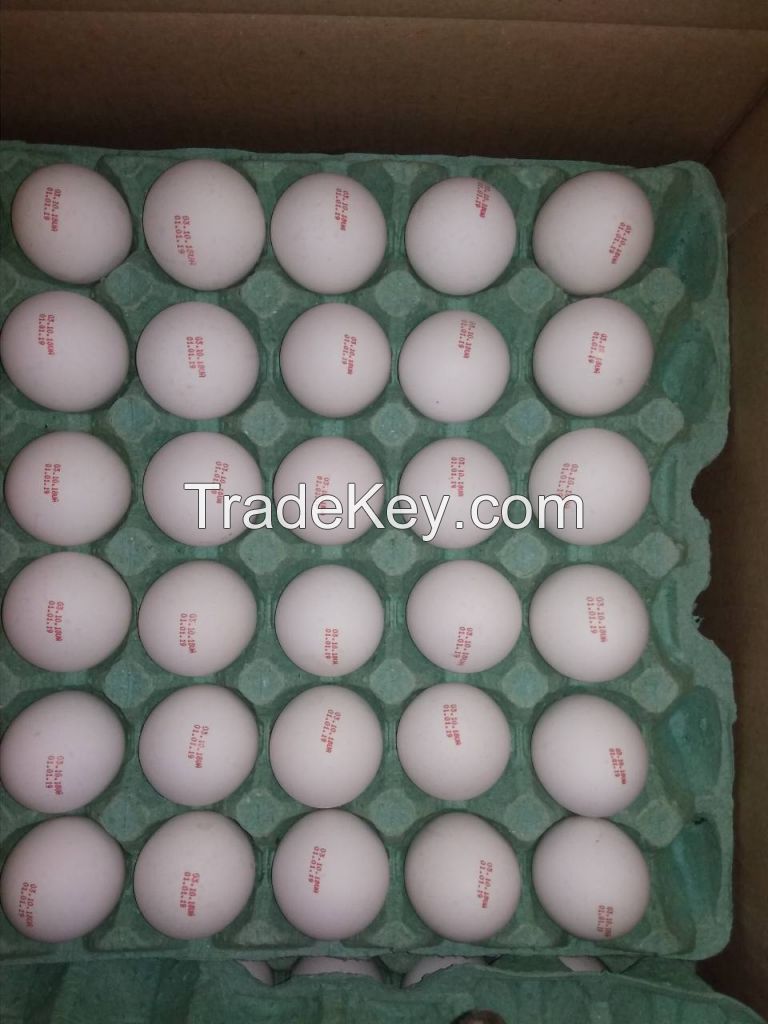 Fresh Chicken Table Eggs