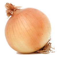 Onion