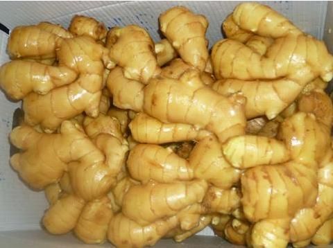 fresh ginger