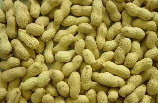 peanut inshell 