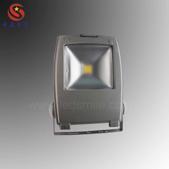 LED flood light