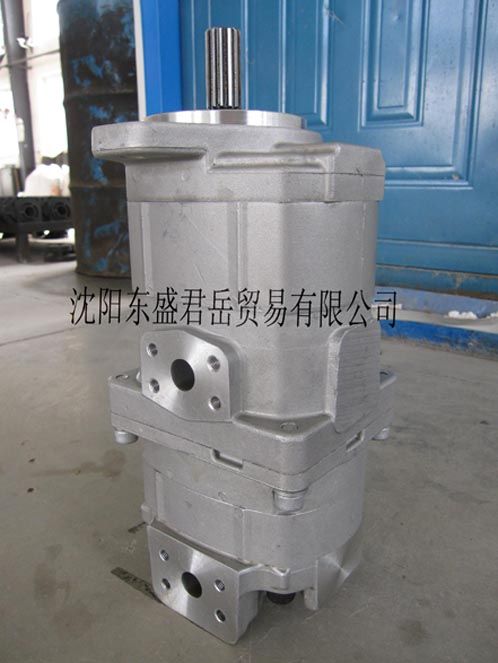 Komatsu gear pump