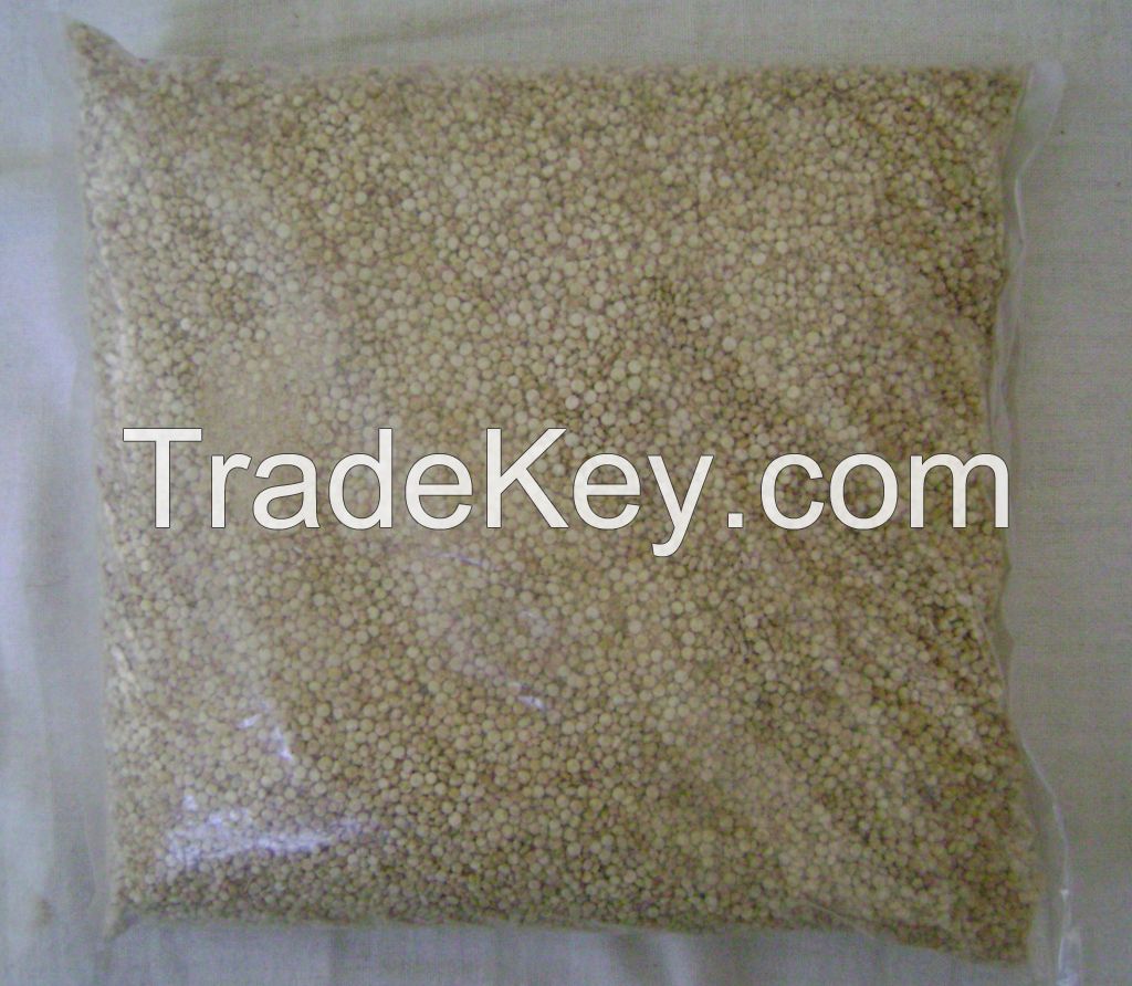 Organic Quinoa Real seeds