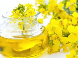 Rapeseed oil