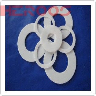 PTFE Gasket