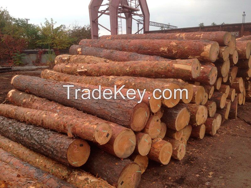  Pine/Beech Round/Spruce Round/ Ash and Oak Logs