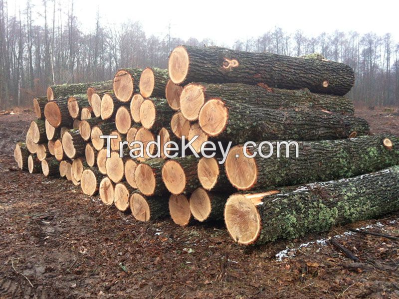  Pine/Beech Round/Spruce Round/ Ash and Oak Logs