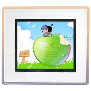 digital photo frame (DPF10W002)