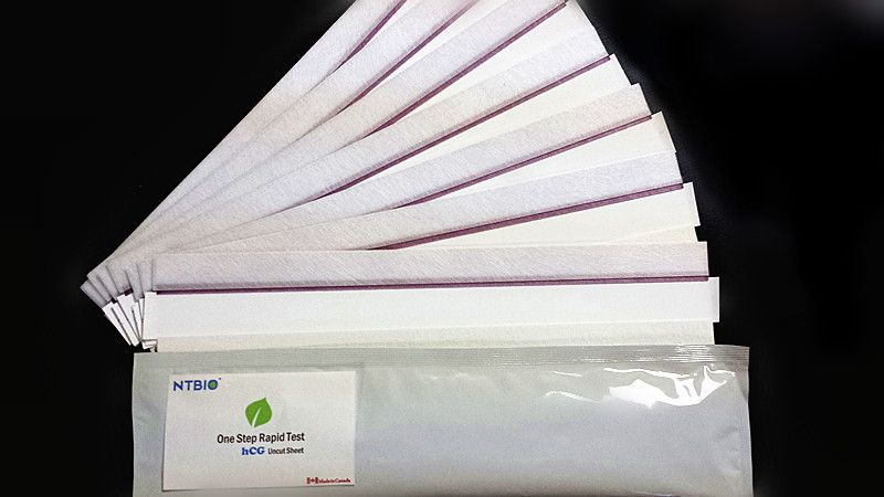 hCG Rapid Diagnostic Test Uncut Sheet 