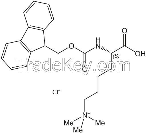 Cyclic Peptides