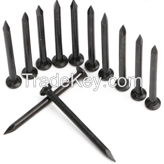 Black and Galvanized Concrete Steel Nail 