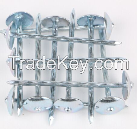 galvanized umbrella roofing nails