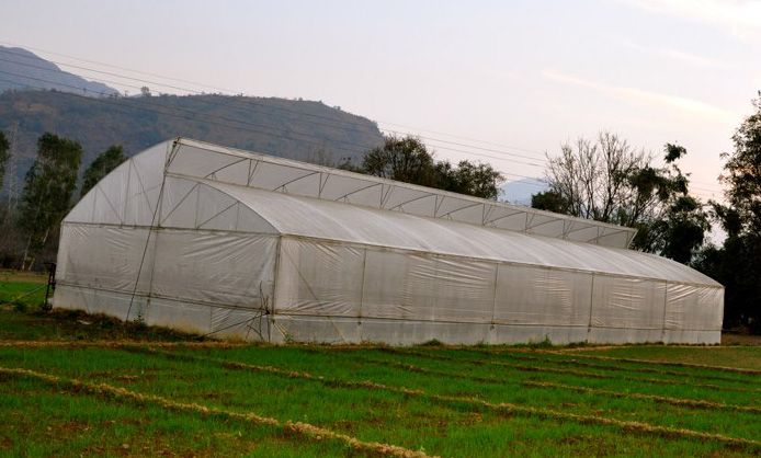 Film Greenhouse