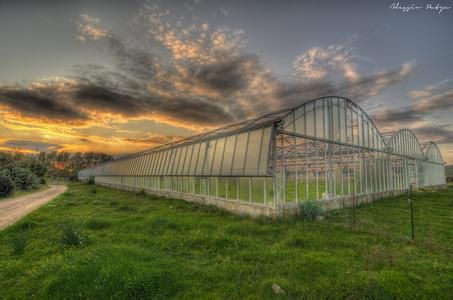 Economical Greenhouse