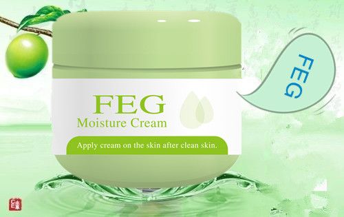 FEG Moisture Cream pure natural keep water 