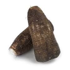 MALANGA - YAUTIA- FRESH MALANGA-CHINESSE POTATO