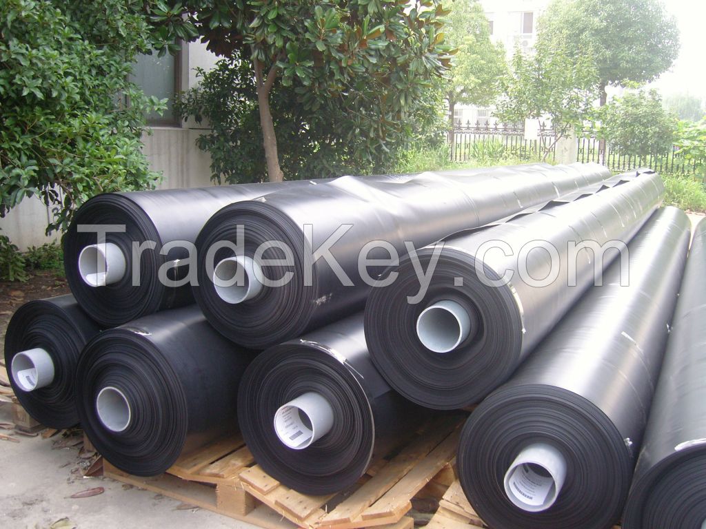 geomembrane