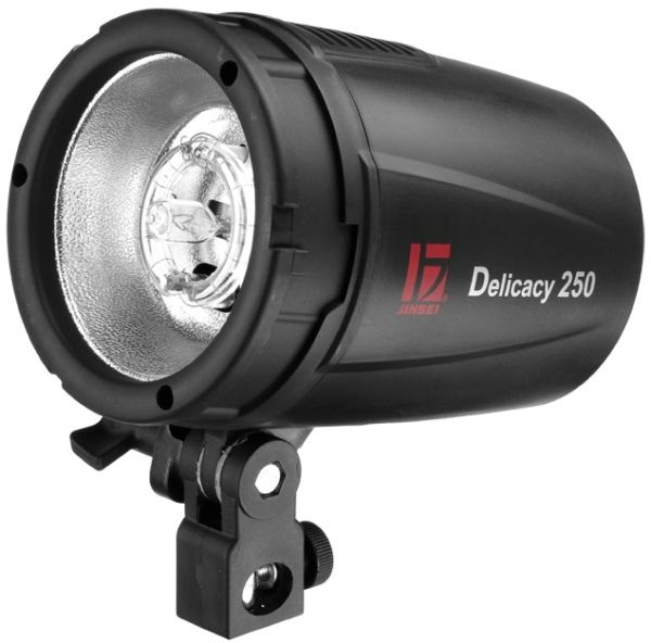 DELICACY Series Professional Light Weight Studio Flash, Strobe, Studio Equipment, Photographic Equipment