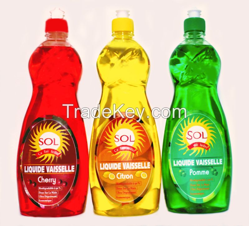 Dishwashing Liquid 750ml