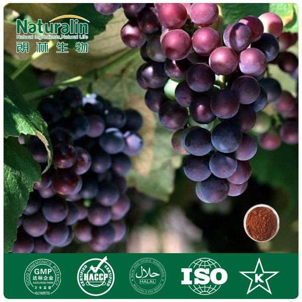 Grape seed extract